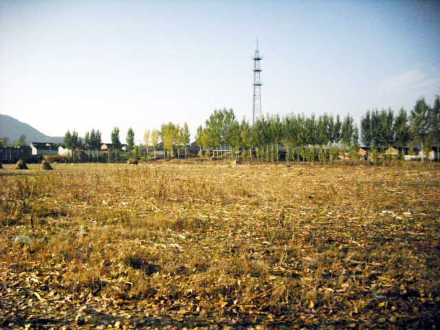 通州张家湾柳营张采路边厂房土地出租