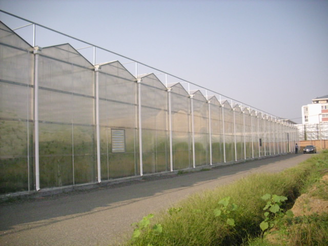 顺义区后沙峪镇出租种植基地